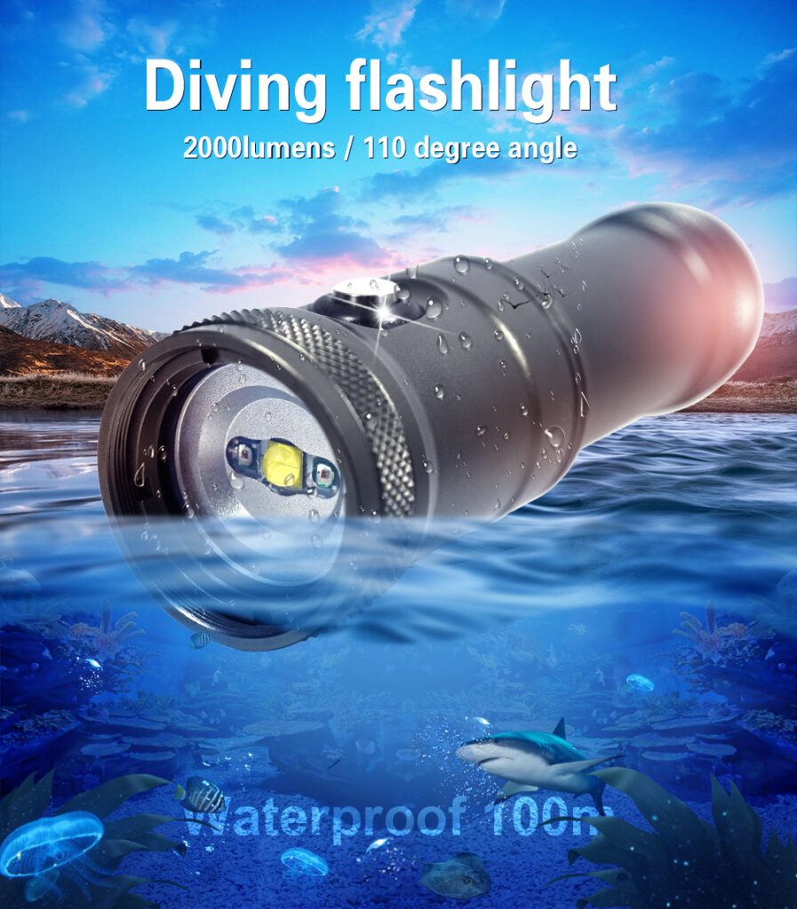 Diving light DT20